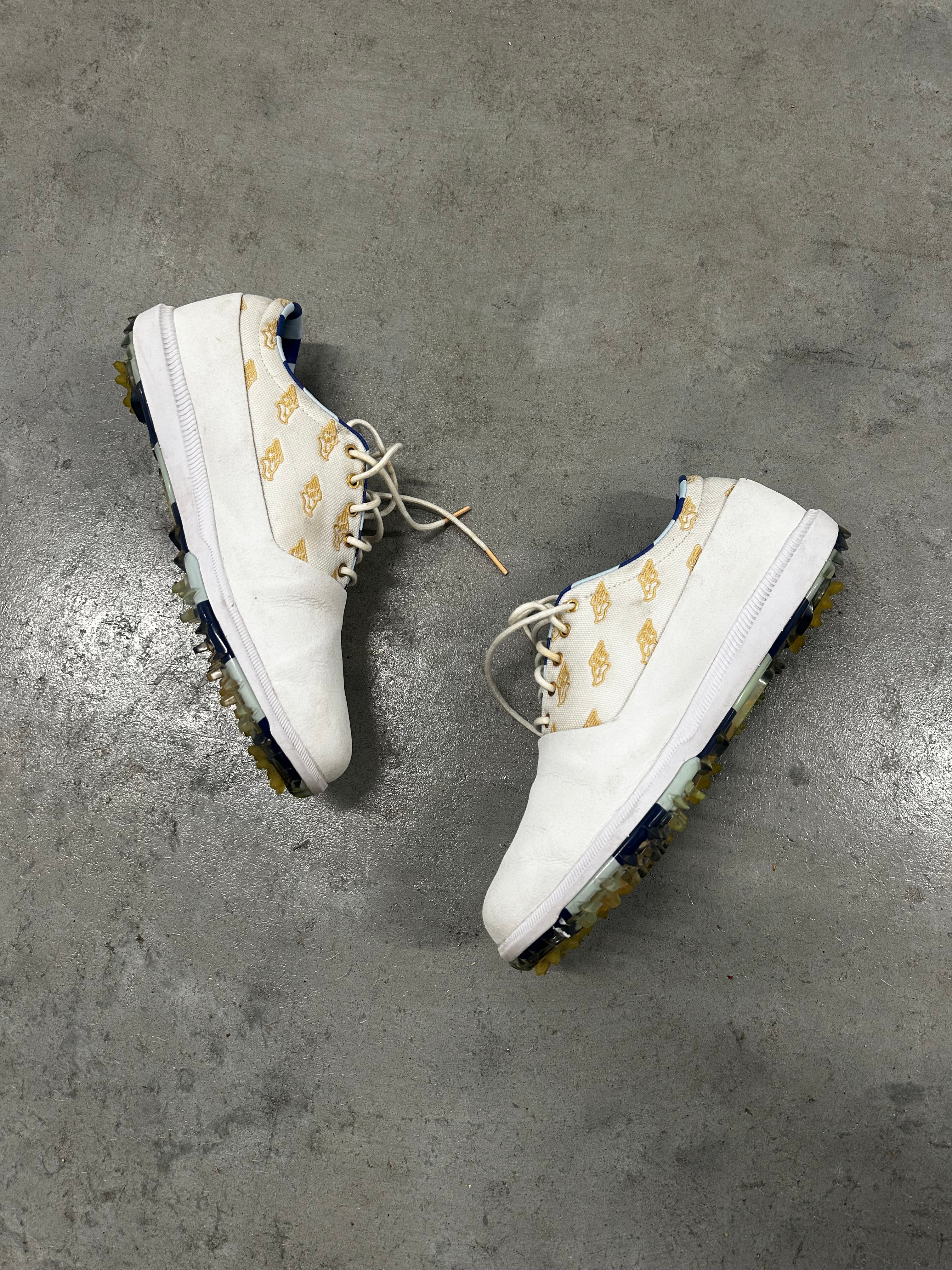 2020 “Wing It” Nike Victory Tour (9.5)